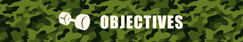 engl1101_bcobjectives_140